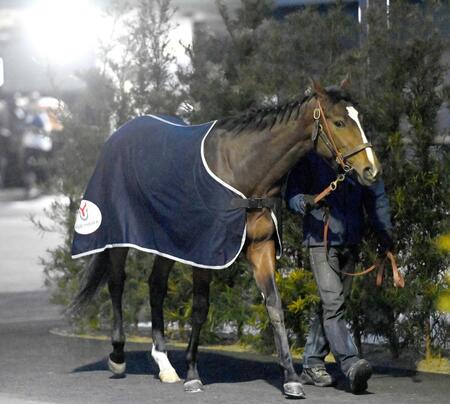 　伯母にジェンティルドンナを持つドナディクオーレ