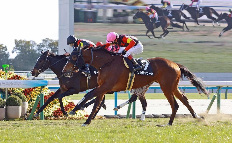 　河津桜賞を制したソルパッサーレ＝１月２５日