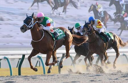 みやこＳを制したセラフィックコール（左）＝２０２３年