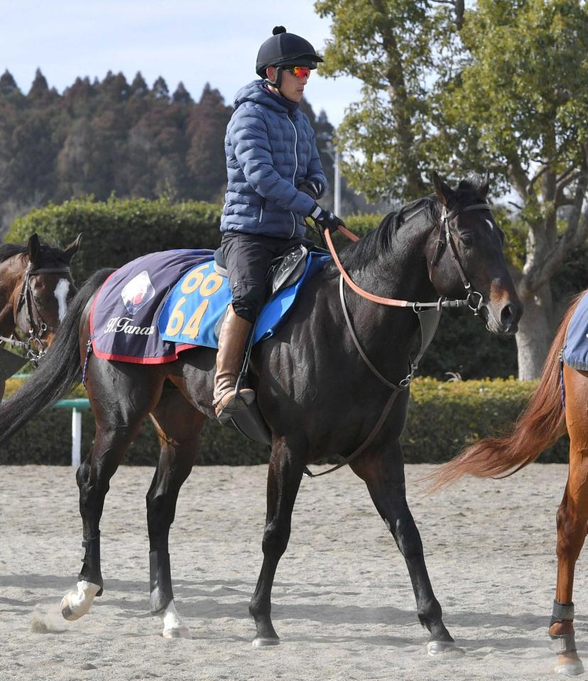 ウェイワードアクト