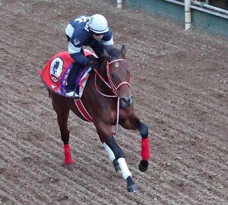 フォーエバーヤング