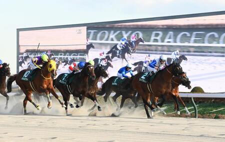 　根岸Ｓを制したロードフォンス（右）＝撮影・園田高夫