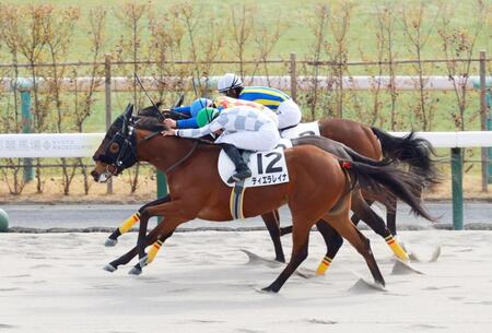 新馬戦を制したティエラレイナ（手前）＝撮影・石湯恒介