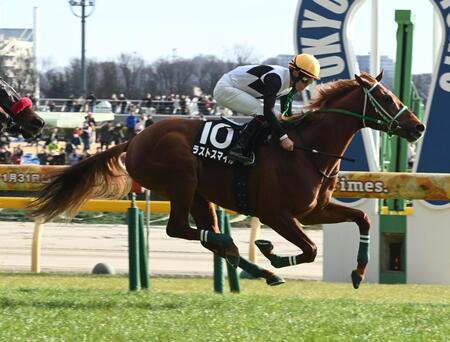セントポーリア賞を制したラストスマイル（撮影・園田高夫）