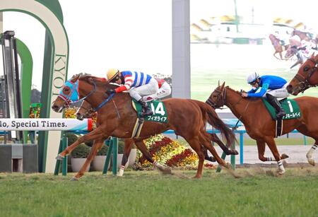 　まんまと逃げ切ったフィオライア（撮影・石湯恒介）