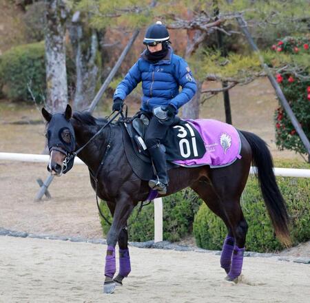 　データ班がイチ推しのエムズビギン