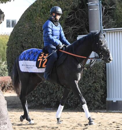 　初の右回りのレースに挑むゾロアストロ