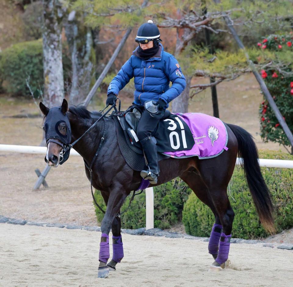 　データ班がイチ推しのエムズビギン