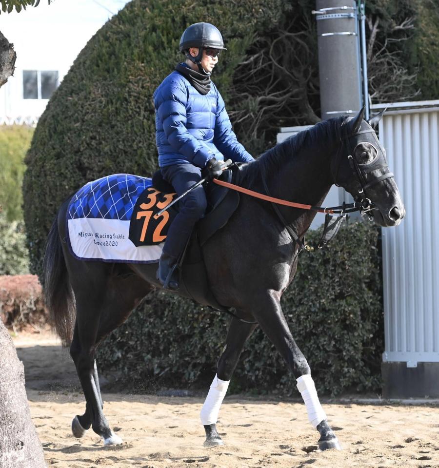 　初の右回りのレースに挑むゾロアストロ