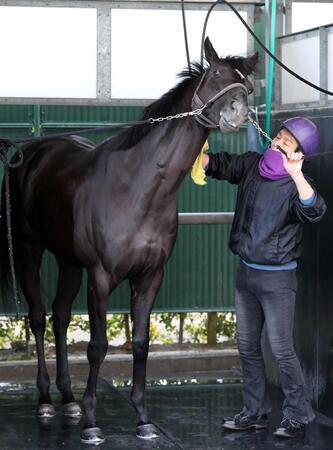 　重賞２勝目を目指すトロヴァトーレ