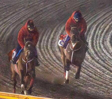 　併せ馬で抜群の好タイムをマークしたフォーエバーヤング（右）