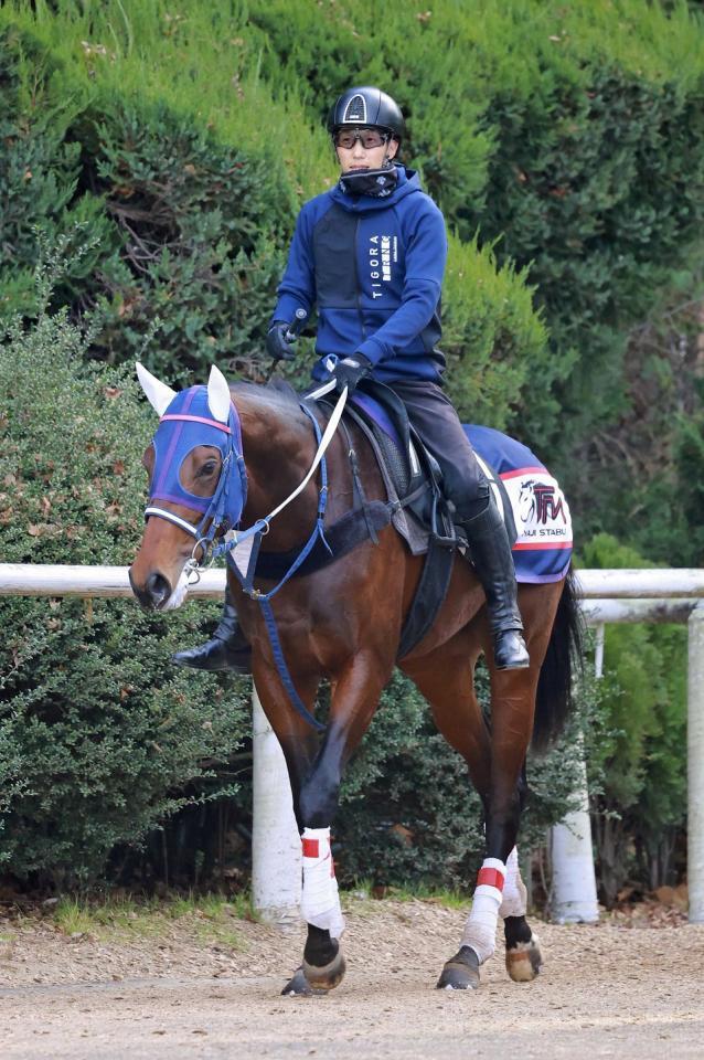 クールデイトナ