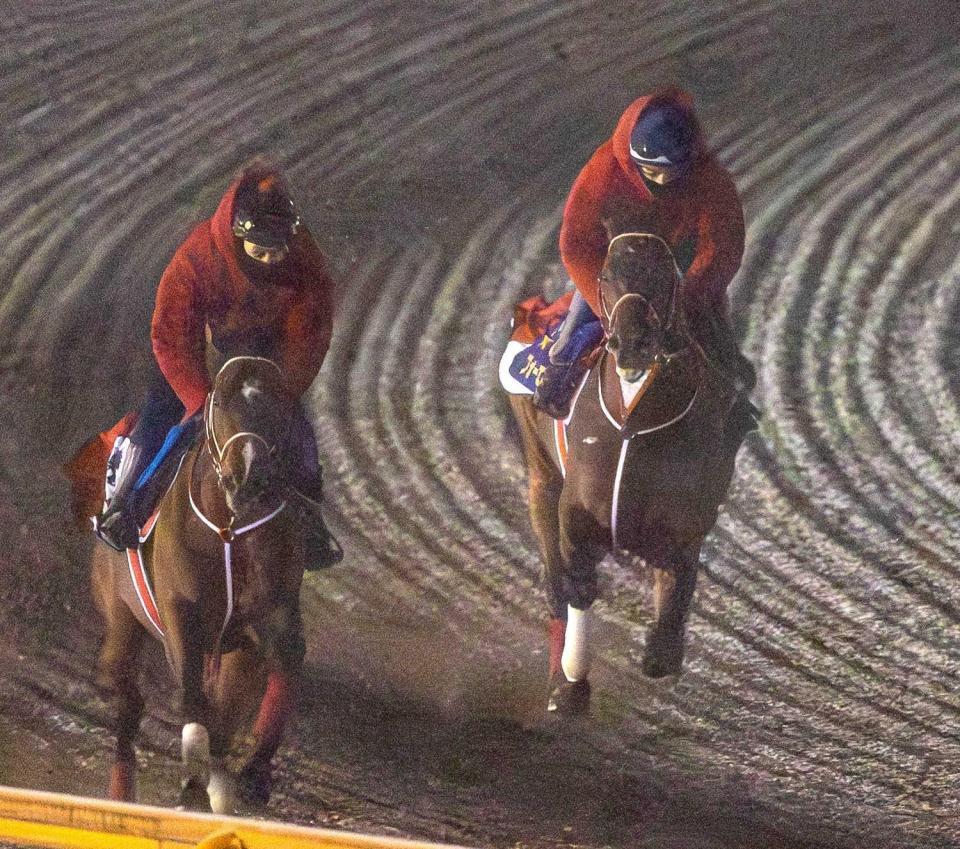 　併せ馬で抜群の好タイムをマークしたフォーエバーヤング（右）