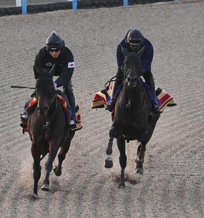 美浦Ｗで２頭併せで追い切られたヘデントール（右）＝撮影・持木克友