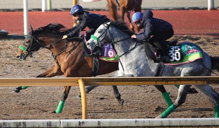 　ブランドブラン（手前）と併せで追い切ったギャラボーグ