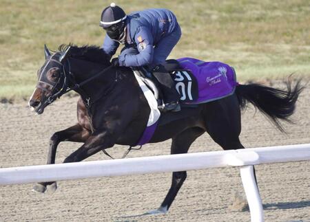 　栗東ＤＰで軽快な走りを見せたエムズビギン（撮影・坂部計介）