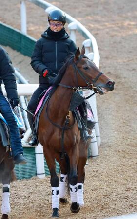 　ソレイユルヴァン