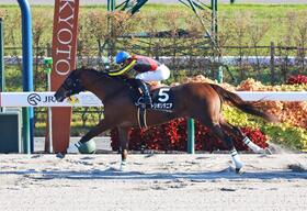 トリポニタニア