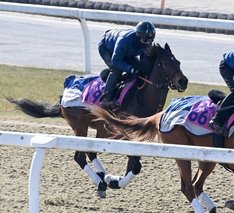 　アドマイヤパープル（左）