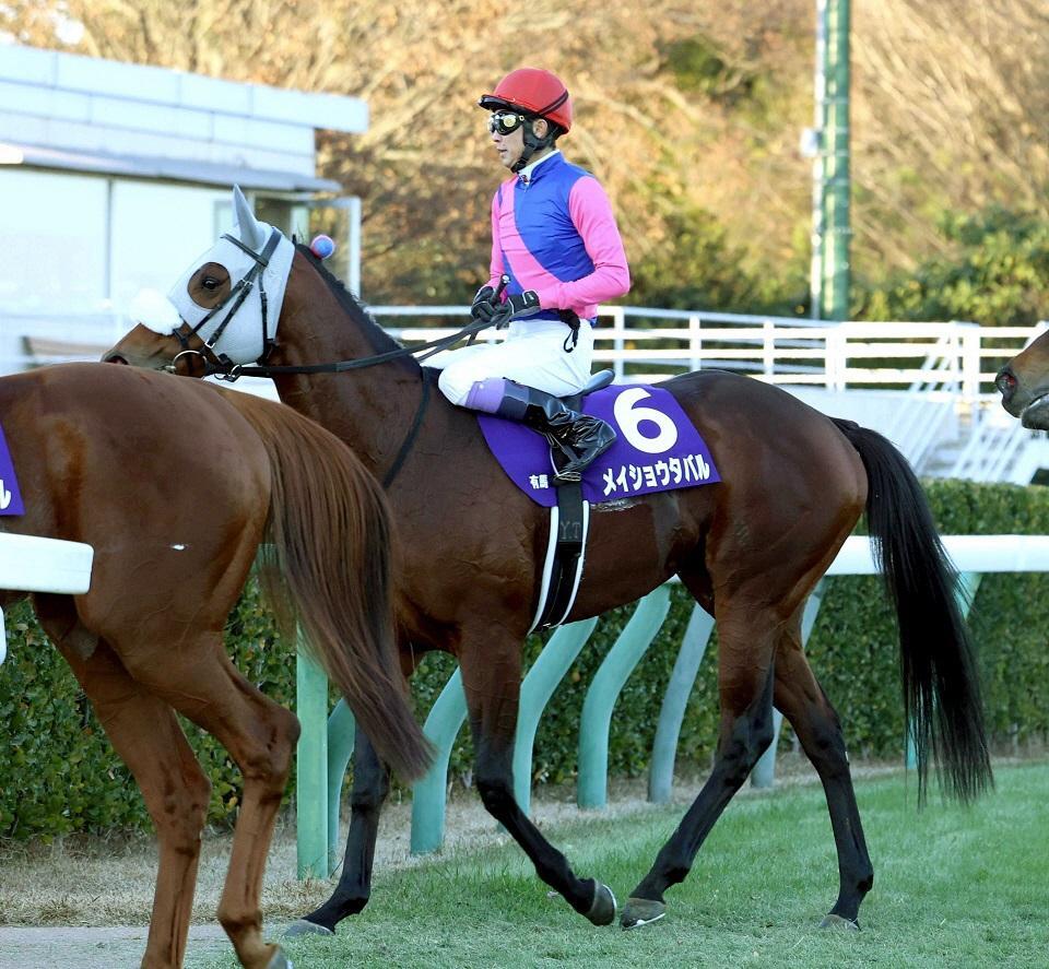 　有馬記念で１３着に敗れたメイショウタバル＝２０２５年１２月２８日