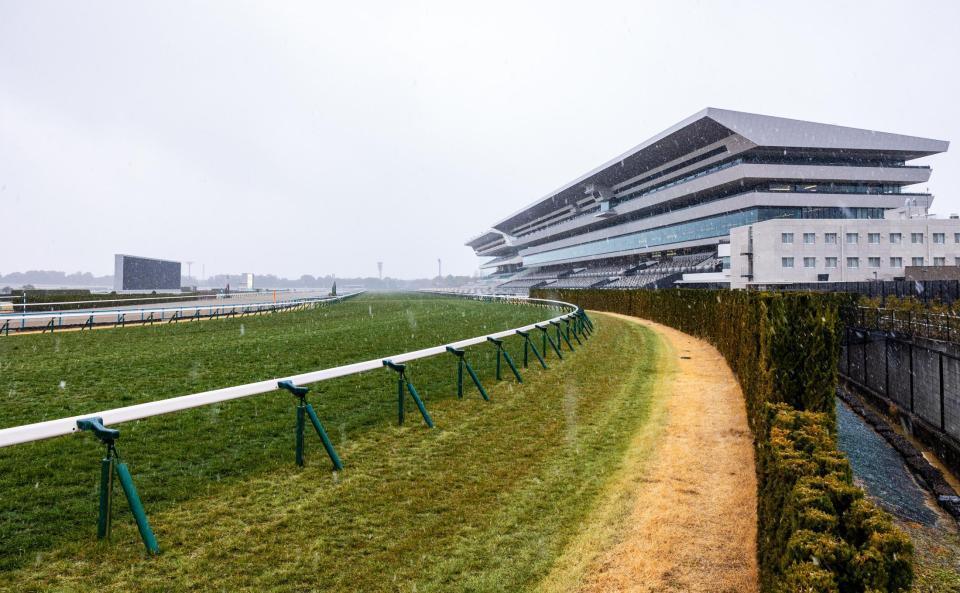 雪のため中止になった京都競馬（撮影・石湯恒介）
