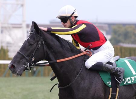 きさらぎ賞を制したゾロアストロを労うハマーハンセン騎手＝撮影・坂部計介