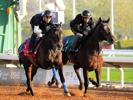 最終追い切りで活気十分の動きを見せたルクソールカフェ（右）とシュトルーヴェ（撮影・平松さとし）