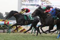 きさらぎ賞を制したゾロアストロ（左）＝撮影・坂部計介