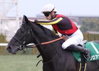 きさらぎ賞を制したゾロアストロを労うハマーハンセン騎手＝撮影・坂部計介