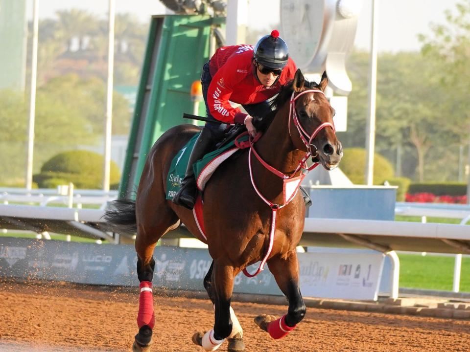 最終追い切りに備えてダートコースで調整したフォーエバーヤング（撮影・平松さとし）