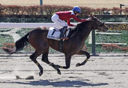 【新馬戦】ステラデルークス　別次元の末脚で初陣飾る　横山武「言うことない競馬ができました」