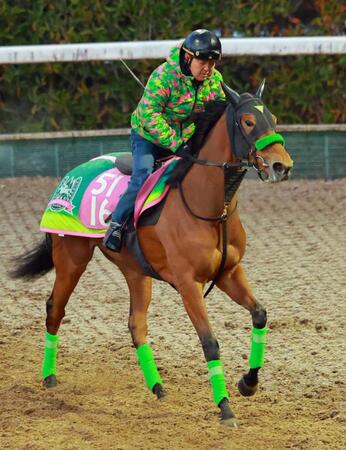 　重賞初制覇を狙うギャラボーグ