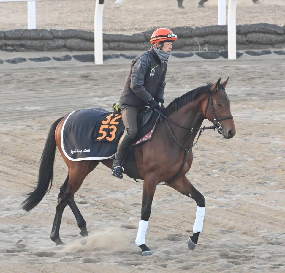 　レースに向け調整されるサノノグレーター