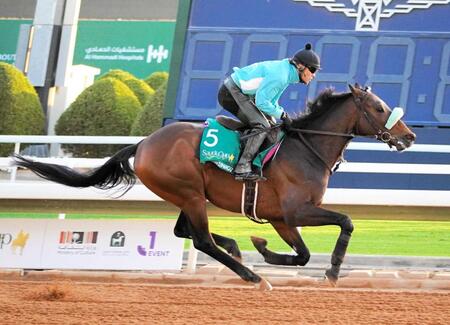 【サウジＣ】サンライズジパング　好調に前川師も笑み　最強馬フォーエバーヤングに挑む「矢作先生に恩返しする意味でも」