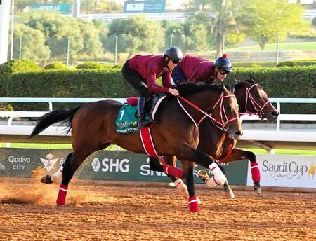 　現地で順調な仕上がりを見せるフォーエバーヤング（手前）＝撮影・平松さとし