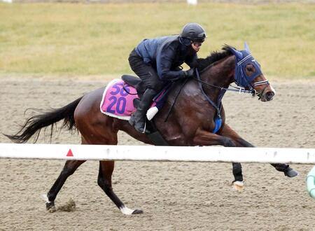 　美浦Ｐで鋭い動きを見せたモートンアイランド