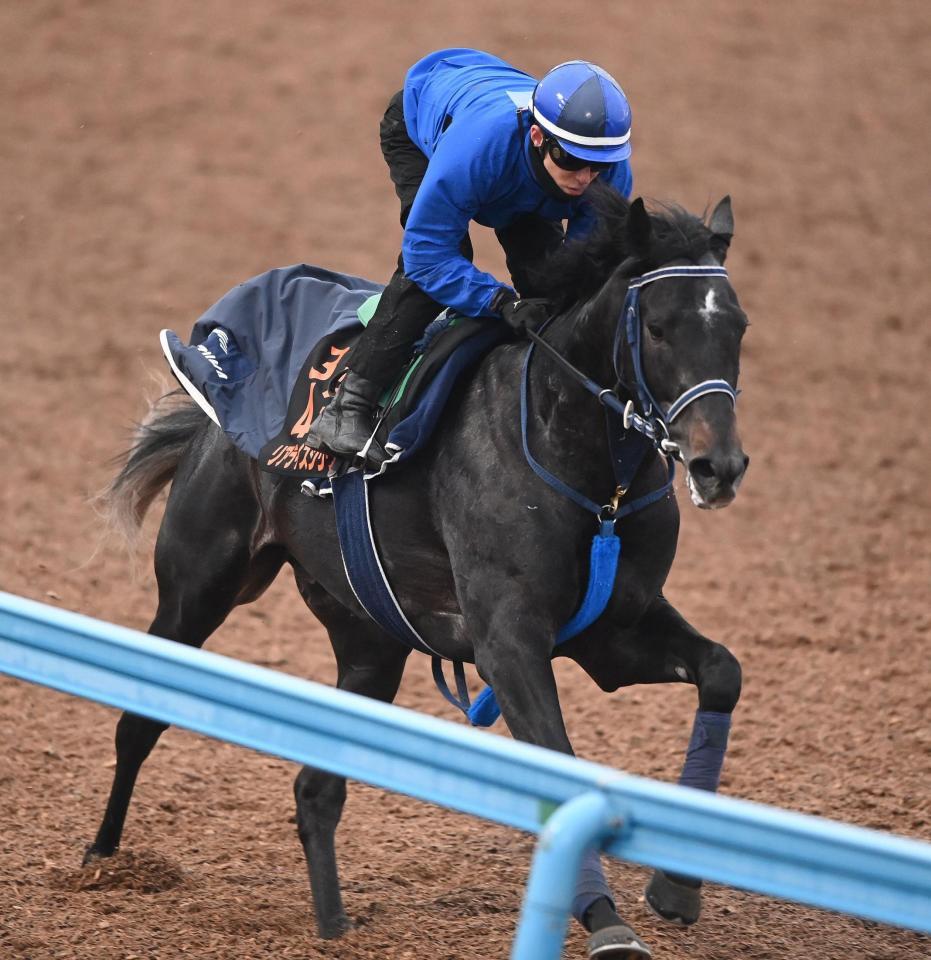 　美浦Ｗ単走で追い切ったリアライズシリウス＝美浦トレセン（撮影・園田高夫）