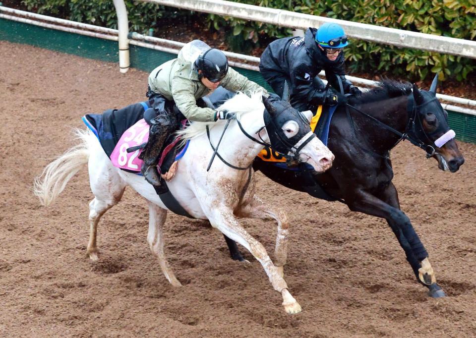 　白い馬体が躍動するマルガ（左）＝撮影・石湯恒介