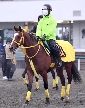 　高い素質を秘めるモンスターラッシュ（撮影・園田高夫）