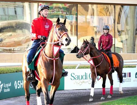 　パドックをスクーリングするフォーエバーヤング（左）と坂井騎乗のアメリカンステージ（撮影・平松さとし）