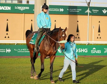 　前川師に引かれてパドックをスクーリングするサンライズジパング（撮影・平松さとし）