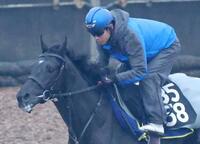 　北村友とのコンビで重賞初制覇を狙うベレシート（撮影・坂部計介）　