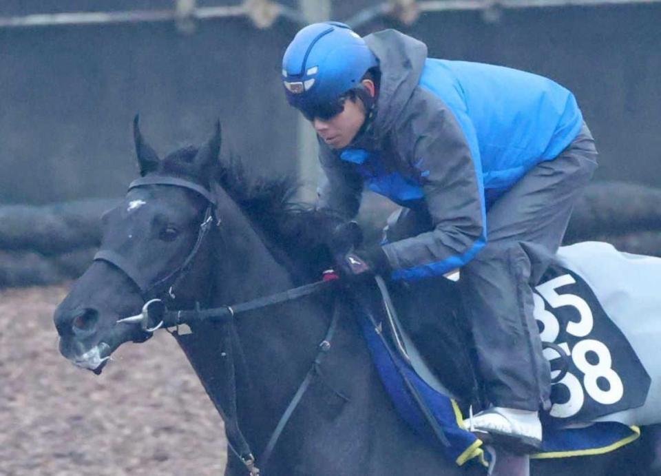 　北村友とのコンビで重賞初制覇を狙うベレシート（撮影・坂部計介）　