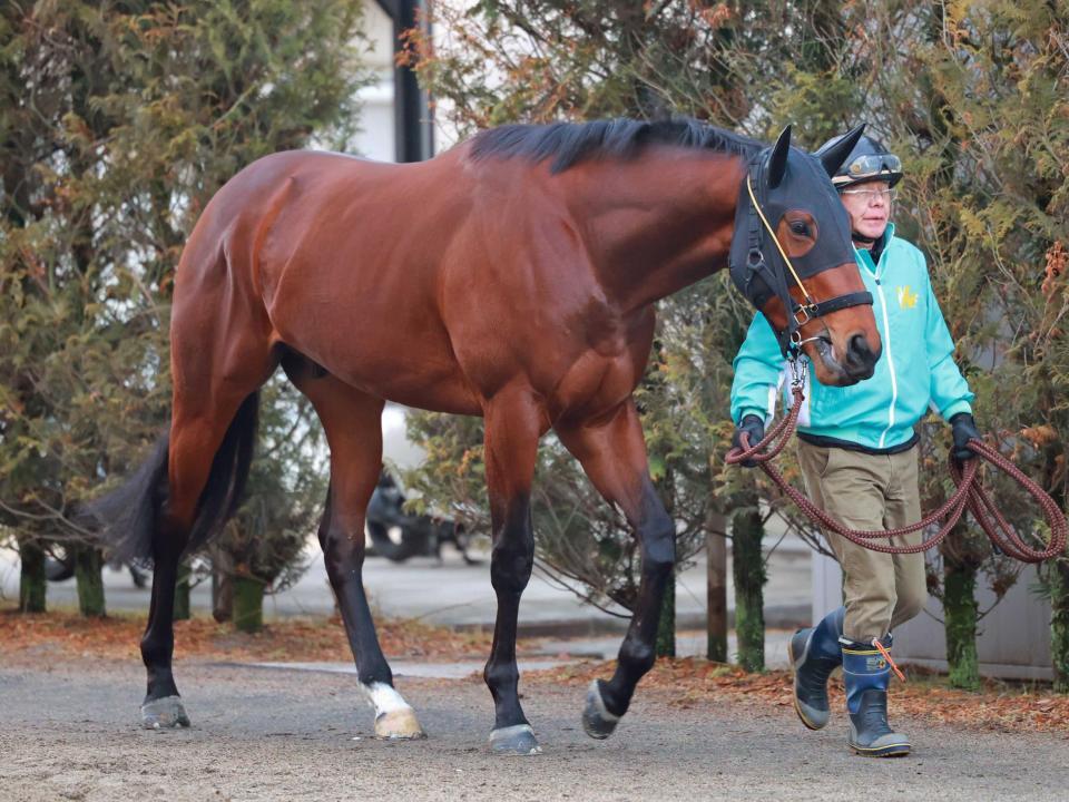 　初陣Ｖを狙うマスターストーン