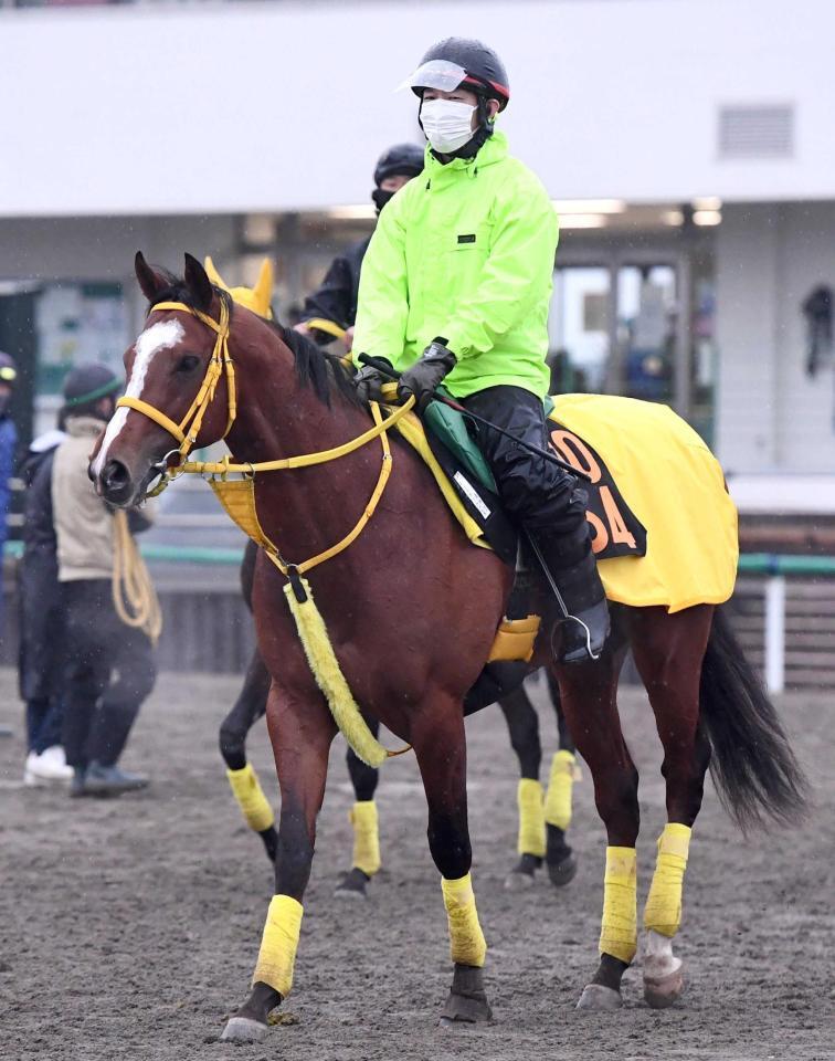　高い素質を秘めるモンスターラッシュ（撮影・園田高夫）