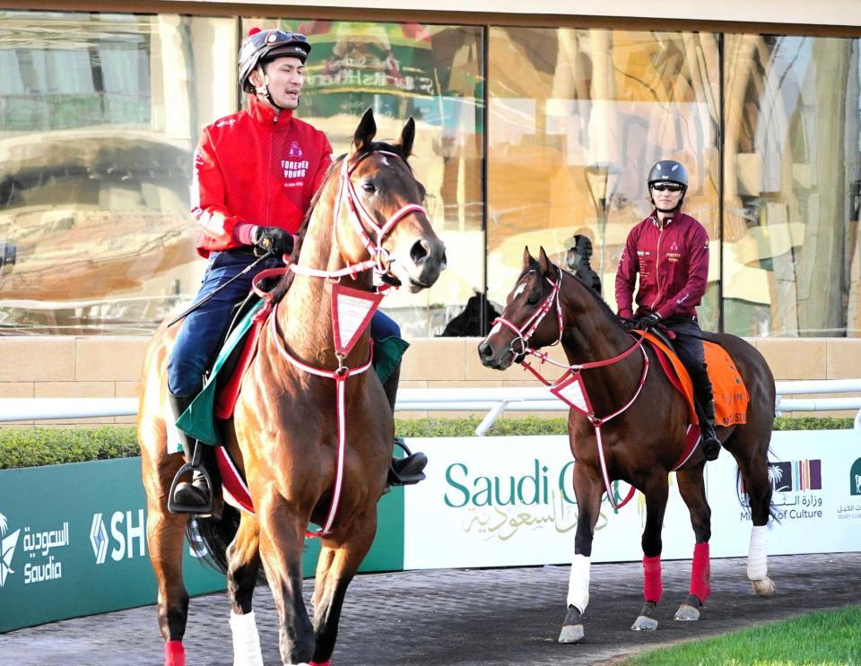 　パドックをスクーリングするフォーエバーヤング（左）と坂井騎乗のアメリカンステージ（撮影・平松さとし）