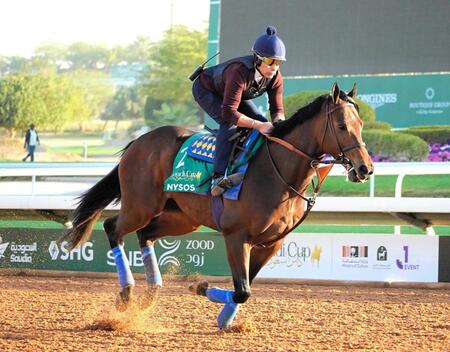 　順調な調整ぶりを見せているＢＣダートマイル覇者ナイソス（撮影・平松さとし）