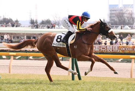 ６Ｒ・３歳未勝利を制したダーリングハースト（撮影・園田高夫）