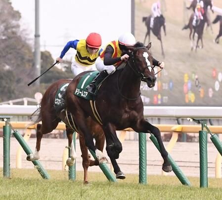 デイリー杯クイーンカップを圧勝したドリームコア（撮影・園田高夫）