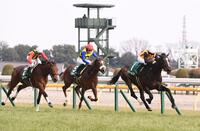 デイリー杯クイーンカップを制したドリームコア（右）＝撮影・園田高夫